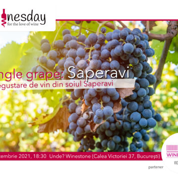 Single Grape: Saperavi