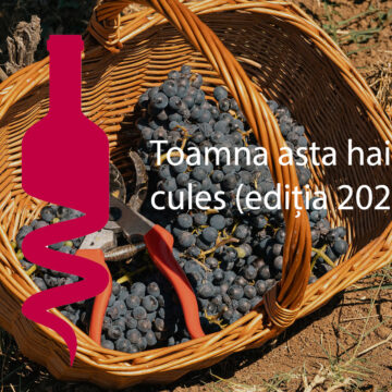 Toamna asta hai la cules + petreceri și degustări în vie (ediția 2024)